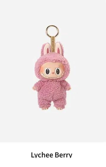 러브브 마카롱 러브브 라이치 베리