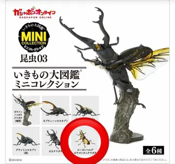 로젠베르그 황금귀 사슴벌레 생물대도감 미니 컬렉션 곤충 03