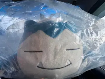 포켓몬 1등 복권 B상 카비곤 & 피카츄 봉제 인형