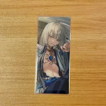 [익명 배송] FGO 네모/노아 편성 화면풍 카드 최종 재림전