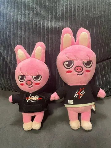 Stray Kids 스키즈 SKZOO 창빈 DWAEKKI 돼끼