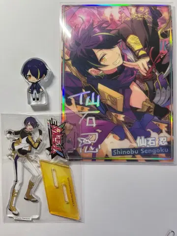 앙스타 센고쿠 시노부 묶음 판매