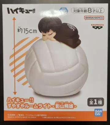 하이큐 스야스야 룸 라이트 카게야마 토비오