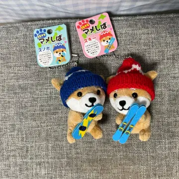 여행하는 마메시바 스노우보드 스키