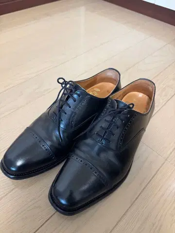 스코치그레인 SCOTCHGRAIN 24.5cm 품번 HA-0526