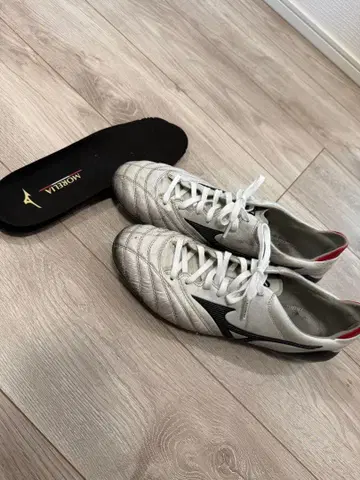 명기! 모렐리아 neo2 28.0