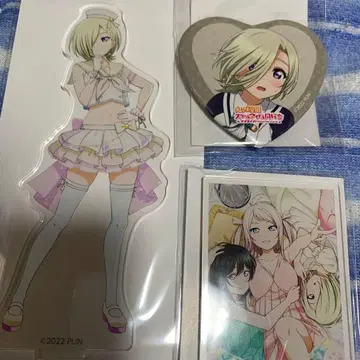 제비뽑기당 무지개 피는 미아 테일러 씨