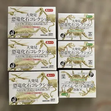 대발견 공룡 화석 컬렉션 세리아 컴플리트