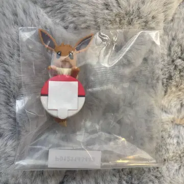 포켓몬 제일복권 F상 길거리 산책 챠라링 프렌드 이브이