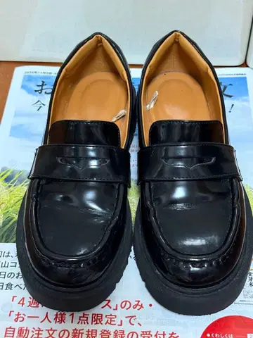 [ UNIQLO:C ] 컴피 터치 로퍼