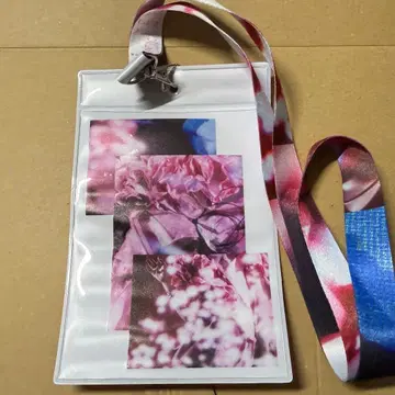 사쿠라자카46 몇 살 때로 돌아가고 싶은 걸까? 브로마이드 홀더