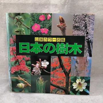 야마케이 컬러 명감 일본의 수목 무료배송 즉시 구매 가능