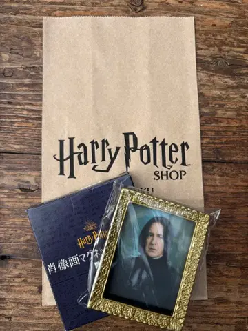 Harry Potter 초상화 마그넷 세브루스 스네이프