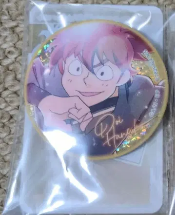 닌타마 란타로 채광 반짝반짝 캔 배지 컬렉션 도이 한스케 2개 세트