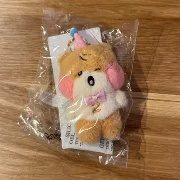 zeroni 성한빈 home party 비니니