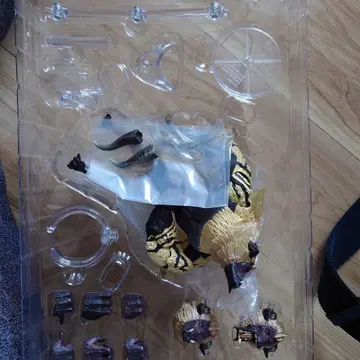 몬스터 아츠 라잔