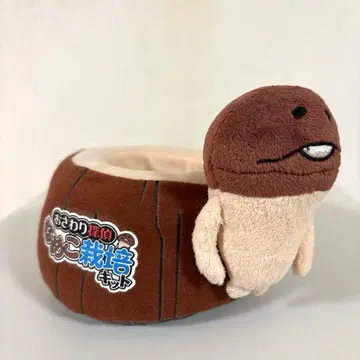 나메코 재배 키트 드링크 홀더 그루터기