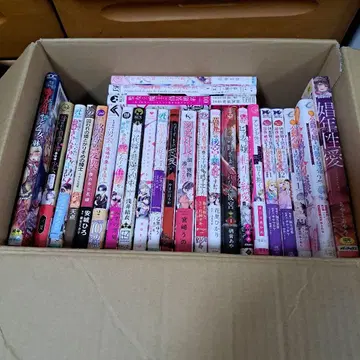 여성 만화 다수 세트