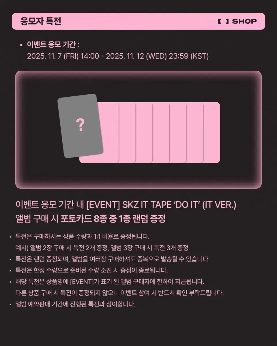 Stray Kids SKZ Do It Fanshop album and pre-order benefit wts buncheol