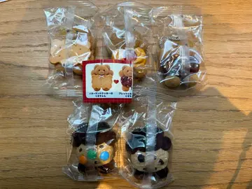 메이리 파라 가챠 5종 세트 컴프 컴플리트 세트