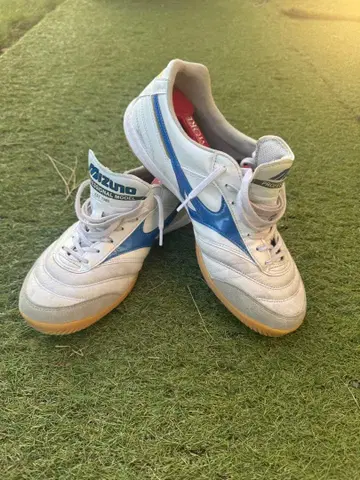 모레리아 in 26cm 한정판