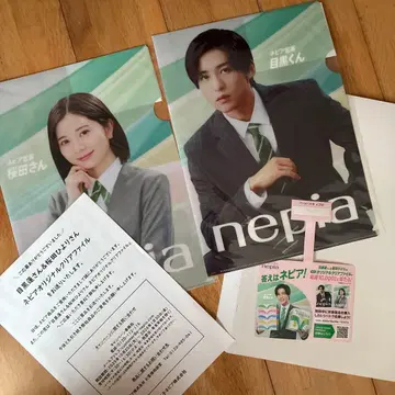 메구로 렌 & 사쿠라다 히요리 네피아 오리지널 클리어 파일 덤