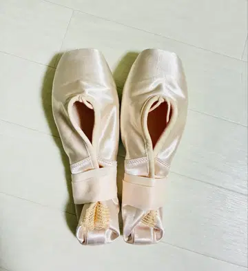 토슈즈 챠코트 progress S101 22cm