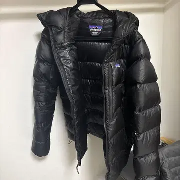 파타고니아 남성용 피츠로이 다운 후디