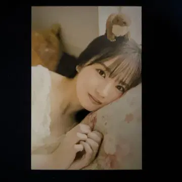 보쿠가 미타캇타 아오조라 안노 아오이 엽서 업투보이 3월호 세븐넷