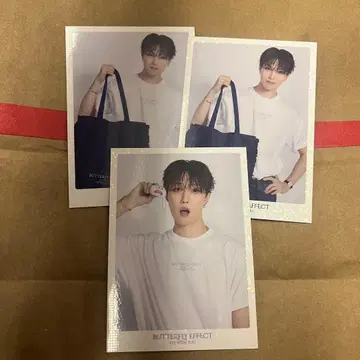 BUTTERFLY EFFECT 호리 나츠키 시크레