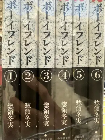 보이프렌드 전 6권 소료 후유미