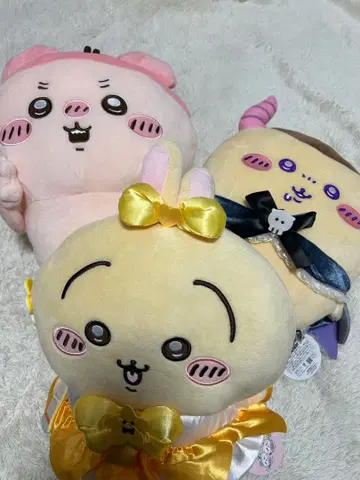 치이카와 세트 할인