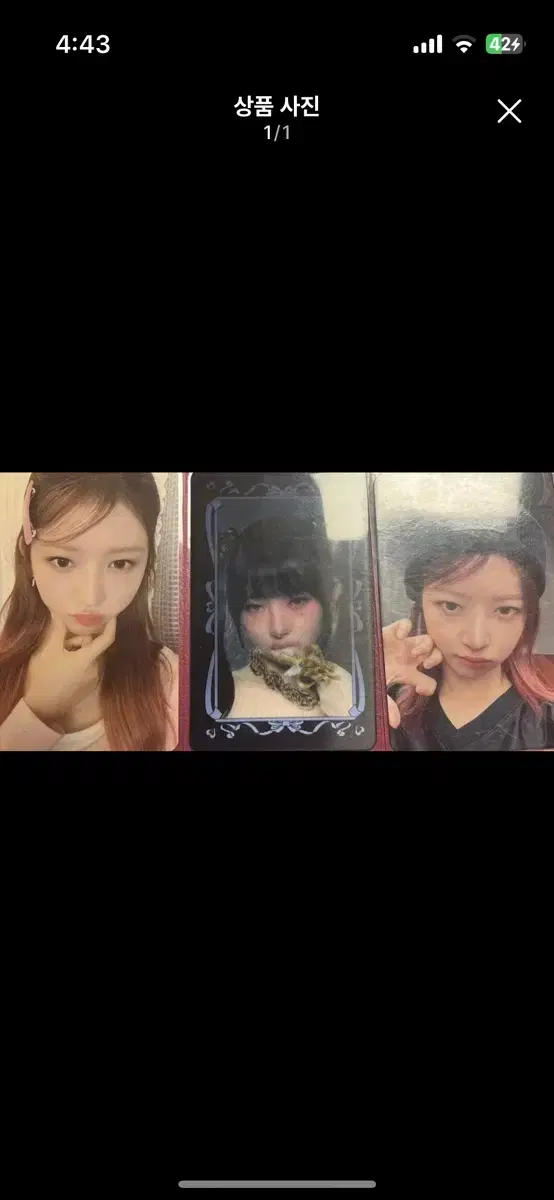 Ive Rei Poca bulk sell