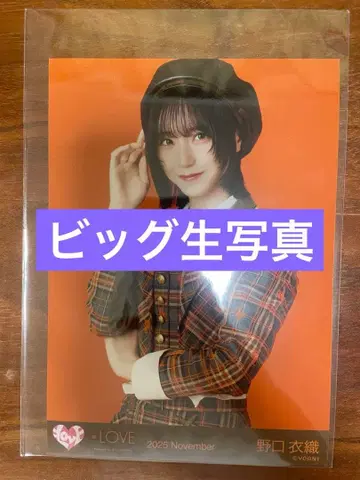 노구치 이오리 빅 브로마이드 러브송에 습격당하다