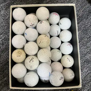 골프공 약 49개