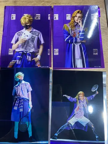 테니뮤 란브로 스페인 로미페르 세다