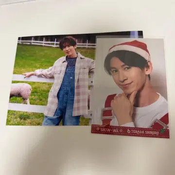 테라다 신지로 세트