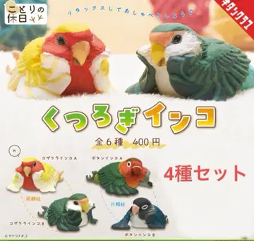 편안한 잉꼬 코자크라인코 A B 버튼잉코 A B 4종 세트