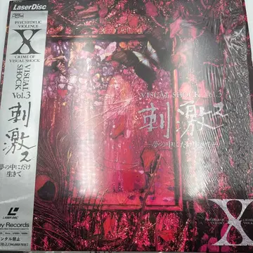 X VISUAL SHOCK Vol.3 레이저 디스크