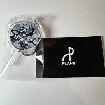 PLAVE AGF 2025 배포 부채 아크릴 키링 아크링 키링