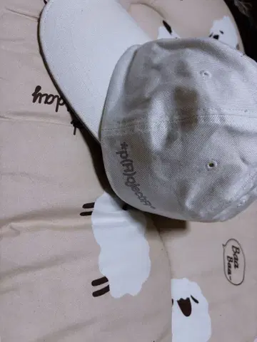 프로젝트 R의 캡