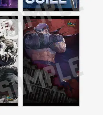 스트리트 파이터 6 파세라 베가