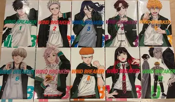 [코믹스] WIND BREAKER 윈드 브레이커 20권