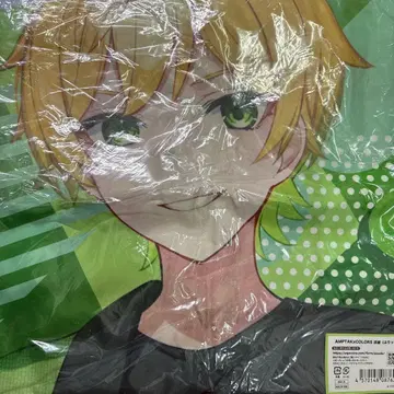 AMPTAK x COLORS 쁘릿츠 풀 그래픽 법피