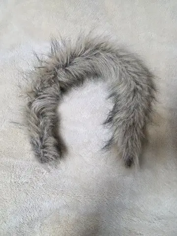 THE NORTH FACE Antarctica Parka 사이즈 M 퍼