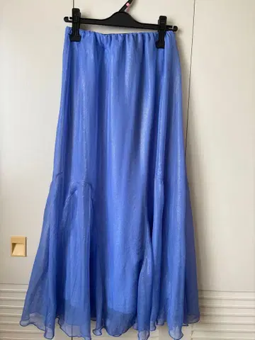 블루 시어 플레어 스커트 쉬폰