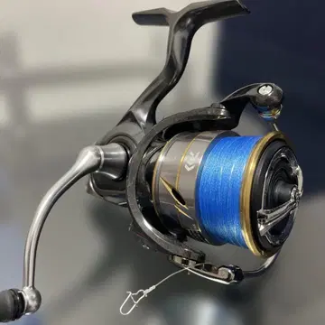 DAIWA LUVIAS LT3000