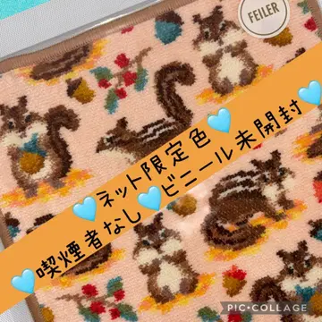 WEB 한정판 비흡연자 시마시마리스 페이러