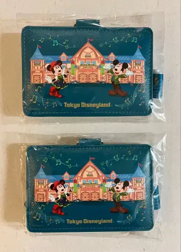 도쿄 디즈니랜드 넥스트랩 포함 패스 케이스