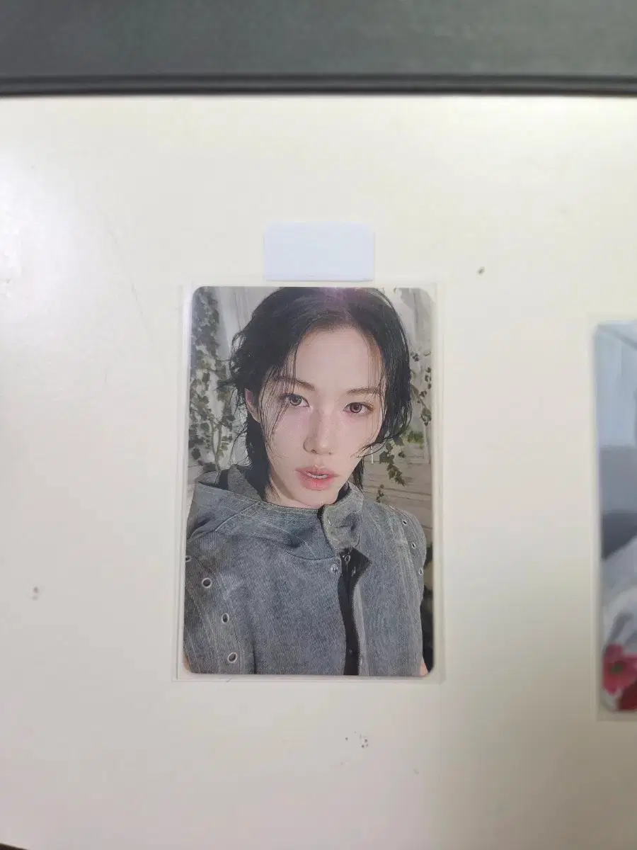 Stray Kids Dominate Japan Shizuoka Chairman Limited Poca